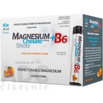 Magnesium Chelate+B6 orange ampule 10 x 25 ml – Hledejceny.cz