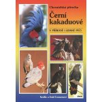 Černí kakaduové – Hledejceny.cz