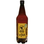 Kocour 12 světlý ležák 4,6% 1 l (pet) – Hledejceny.cz