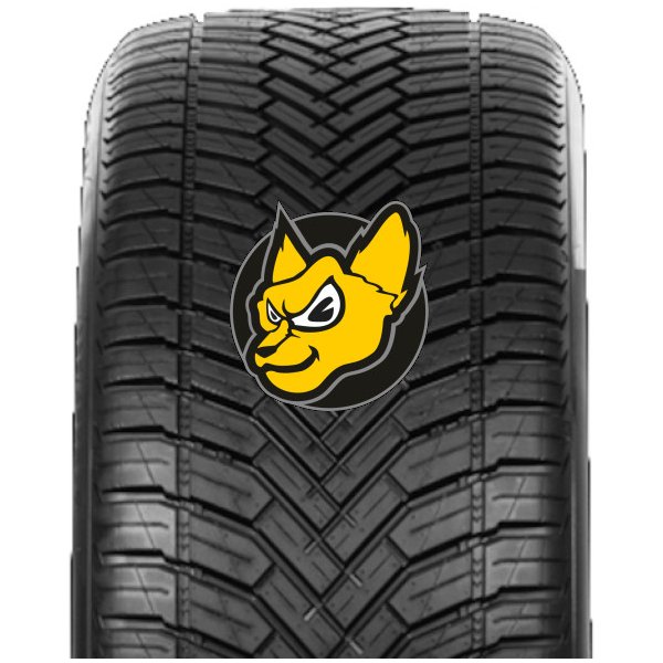 Osobní pneumatika Roadhog RGAS02 225/60 R17 103V