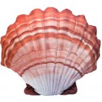 Gaby Polštář Mušle hřebenatka oranžová 45 cm – Hledejceny.cz