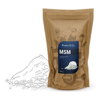 MSM od Protein a co 250 g – Zbozi.Blesk.cz