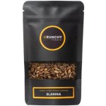 Crunchy Crickets s příchutí SLANINA 20 g – Zboží Dáma