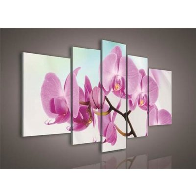 Obraz na plátně orchidej 124S4A, rozměr 170 x 100 cm, IMPOL TRADE – Hledejceny.cz