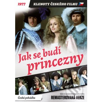 JAK SE BUDÍ PRINCEZNY DVD