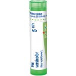 IRIS VERSICOLOR POR 5CH GRA 1X4G – Hledejceny.cz