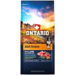 Ontario Adult Medium Lamb & Brown Rice 20 kg – Hledejceny.cz