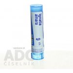 IGNATIA AMARA POR 9CH GRA 1X4G – Hledejceny.cz