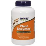 Now Foods Foods Plant Enzymes rostlinné enzymy 240 kapslí – Hledejceny.cz