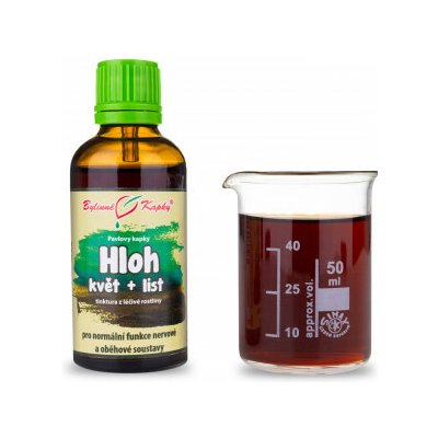 Bylinné kapky Hloh list + květ - bylinné kapky tinktura 50 ml – Hledejceny.cz