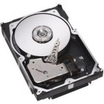 Seagate Cheetah 15K.7 600GB, 3,5", 15000rpm, SCSI, ST3600057SS – Zboží Mobilmania