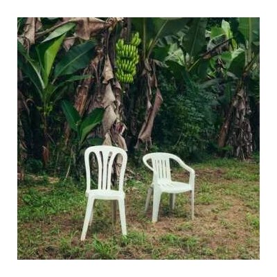 Bad Bunny: Debi Tirar Mas Fotos (opaque White Vinyl) LP – Zboží Mobilmania