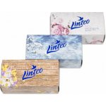 Linteo papírové kapesníčky 2-vrstvé 200 ks – Zboží Dáma