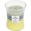 Svíčka WoodWick Trilogy Woodland Shade 275 g