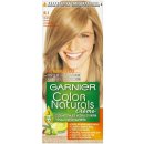 Garnier Color Naturals světlá blond popelavá 8.1