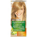 Garnier Color Naturals světlá blond popelavá 8.1 – Zboží Mobilmania