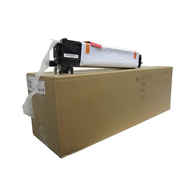 Ricoh D117-0122 - originální – Zboží Živě