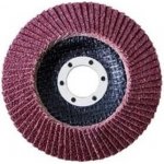 Proteco Kotouč lamelový 125 mm 20-A-125-040 – Zboží Dáma