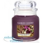 Yankee Candle Moonlit Blossoms 411 g – Hledejceny.cz