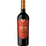 Edmond de Rothschild Flechas De Los Andes Gran Cabernet Franc 2021 Červené 14,5% 0,75 l (holá láhev) – Hledejceny.cz
