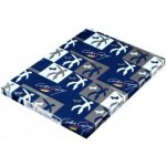 Color copy A4 135g 250 listů – Zboží Živě