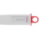 Kingston DataTraveler Exodia 256GB KC-U2G256-5R – Sleviste.cz