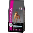 Krmivo pro psa Eukanuba Mature & Senior Large Breed 15 kg