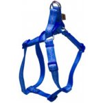 B&F Postroj popruh EKG – Hledejceny.cz