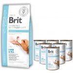 Brit Veterinary Diet Dog Obesity 12 kg – Zbozi.Blesk.cz