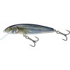 Návnada a nástraha Salmo Minnow Sinking Spirlin 6cm 6g