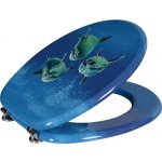 Sapho Aqualine FUNNY HY-S115 – Zboží Dáma