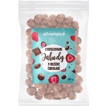 Allnature Mrazem sušené jahody v mléčné čokoládě 100 g – Sleviste.cz