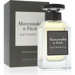 Abercrombie & Fitch Authentic toaletní voda pánská 100 ml tester – Hledejceny.cz