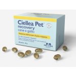 NBF Lanes ciellea pet pes a kočka tělesná hmotnost 60 kps – Hledejceny.cz
