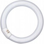 Osram zářivka kruhová T9 G10Q 32 W 2250 lm studená bílá – Hledejceny.cz