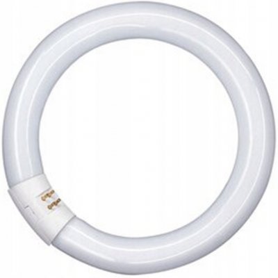 Osram zářivka kruhová T9 G10Q 32 W 2250 lm studená bílá – Hledejceny.cz