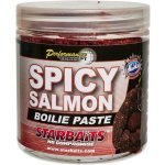 Starbaits Obalovací pasta Concept 250g Spicy Salmon – Hledejceny.cz