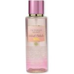 Victoria's Secret Velvet Petals Sol tělový sprej 250 ml – Zboží Dáma