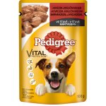 Pedigree Adult hovězí & jehně 100 g – Hledejceny.cz