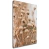 Obraz Impresi Obraz Skandinávský styl suchá tráva - 50 x 70 cm
