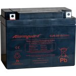 Alarmguard 6V 20Ah CJ6-20 – Zboží Živě