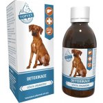 Topvet Green idea s.r.o. Detoxikace sirup pro psy 200 ml – Hledejceny.cz