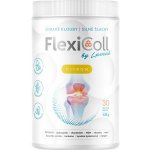 Luvené FlexiColl Kloubní výživa citron 425 g – Zbozi.Blesk.cz