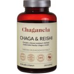 Chaganela Extrakt čagy s reishi 150 kapslí – Hledejceny.cz