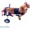 Autovýbava Walkinpets Neoprenový postroj k invalidnímu vozíku přední XXL