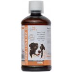 Dromy Omega 3 EPA & DHA olej 500 ml – Zbozi.Blesk.cz