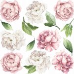 Nálepky na zeď Drukant Pivoňky 75 x 65 cm, velikost S, růžovo-bílé – Zboží Dáma