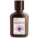 Ahava Mineral Botanic sametové tělové mléko Lotus & Chestnut 85 ml