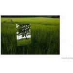 Amirro ROMY 45 x 150 cm 712-796 – Zbozi.Blesk.cz