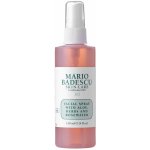 Mario Badescu pleťová voda Facial Spray with Aloe Herbs and Rosewater 118 ml – Zbozi.Blesk.cz